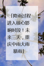降雨过程进入核心影响时段！未来三天，重庆中雨大雨暴雨