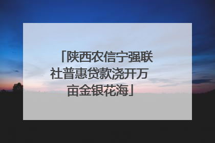 陕西农信宁强联社普惠贷款浇开万亩金银花海