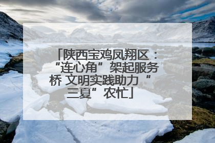 陕西宝鸡凤翔区：“连心角”架起服务桥 文明实践助力“三夏”农忙