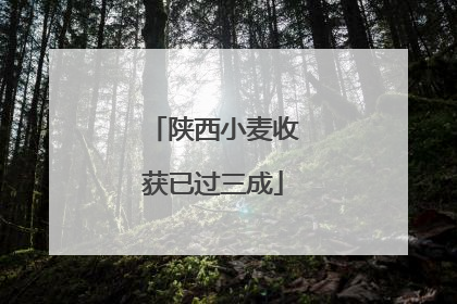 陕西小麦收获已过三成