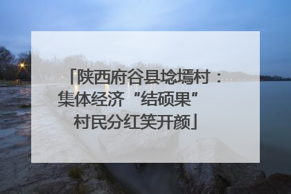 陕西府谷县埝墕村：集体经济“结硕果” 村民分红笑开颜