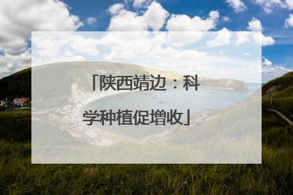 陕西靖边：科学种植促增收