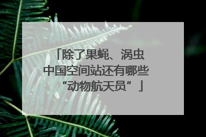 除了果蝇、涡虫 中国空间站还有哪些“动物航天员”