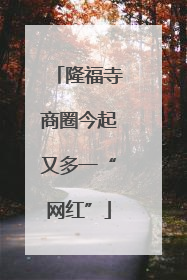隆福寺商圈今起又多一“网红”