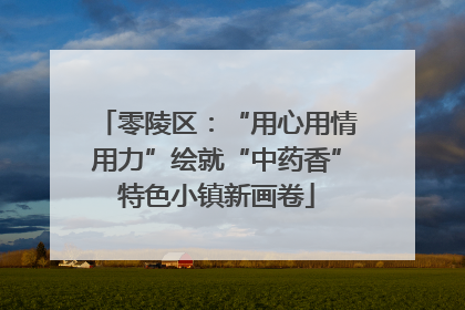 零陵区：“用心用情用力”绘就“中药香”特色小镇新画卷
