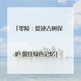 零陵：提速古树保护 留住绿色记忆