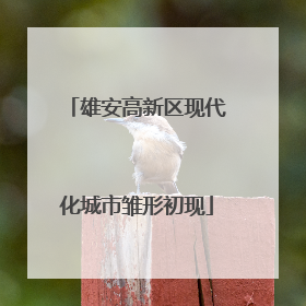 雄安高新区现代化城市雏形初现