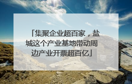集聚企业超百家，盐城这个产业基地带动周边产业开票超百亿