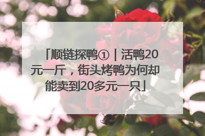 顺链探鸭①｜活鸭20元一斤，街头烤鸭为何却能卖到20多元一只