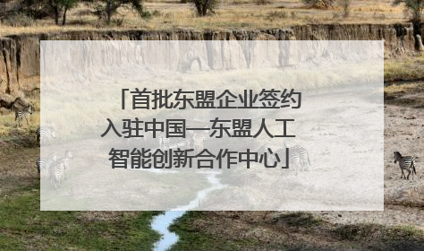 首批东盟企业签约入驻中国—东盟人工智能创新合作中心