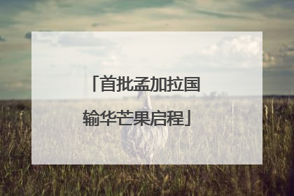 首批孟加拉国输华芒果启程