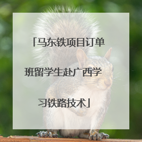 马东铁项目订单班留学生赴广西学习铁路技术