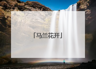 马兰花开