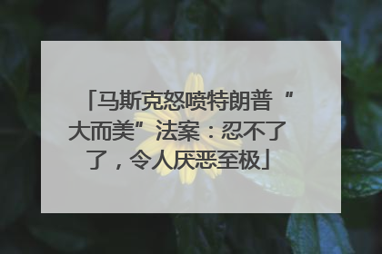 马斯克怒喷特朗普“大而美”法案：忍不了了，令人厌恶至极