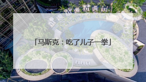 马斯克：吃了儿子一拳
