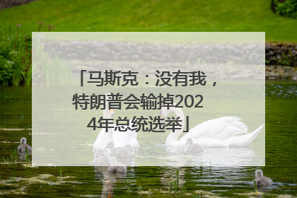 马斯克：没有我，特朗普会输掉2024年总统选举