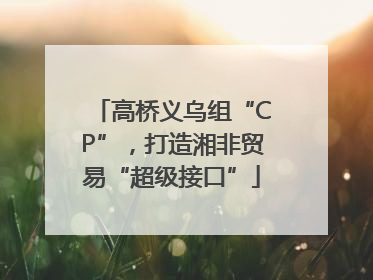 高桥义乌组“CP”，打造湘非贸易“超级接口”