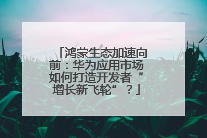 鸿蒙生态加速向前：华为应用市场如何打造开发者“增长新飞轮”？