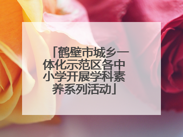鹤壁市城乡一体化示范区各中小学开展学科素养系列活动