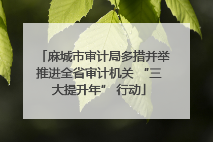 麻城市审计局多措并举推进全省审计机关 “三大提升年” 行动