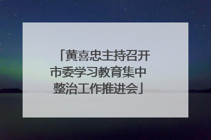 黄喜忠主持召开市委学习教育集中整治工作推进会