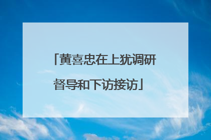 黄喜忠在上犹调研督导和下访接访
