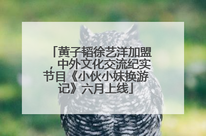黄子韬徐艺洋加盟，中外文化交流纪实节目《小伙小妹换游记》六月上线