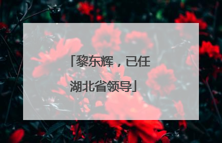 黎东辉，已任湖北省领导