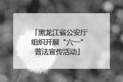 黑龙江省公安厅组织开展“六一”普法宣传活动