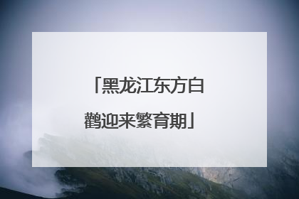 黑龙江东方白鹳迎来繁育期