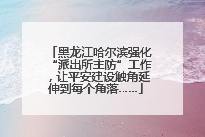 黑龙江哈尔滨强化“派出所主防”工作，让平安建设触角延伸到每个角落……