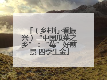 （乡村行·看振兴）“中国瓜菜之乡”：“莓”好前景 四季生金