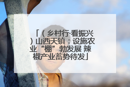 （乡村行·看振兴）山西天镇：设施农业“棚”勃发展 辣椒产业蓄势待发