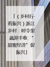 （乡村行·看振兴）浙江乡村：时令果蔬迎丰收 “甜蜜经济”促振兴