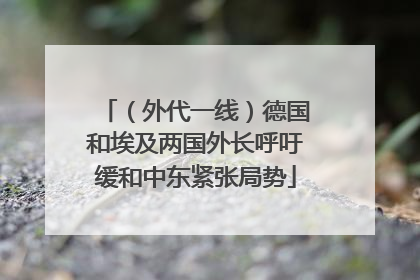 （外代一线）德国和埃及两国外长呼吁缓和中东紧张局势