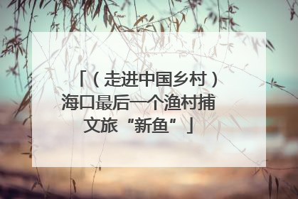 （走进中国乡村）海口最后一个渔村捕文旅“新鱼”