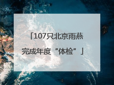 107只北京雨燕完成年度“体检”