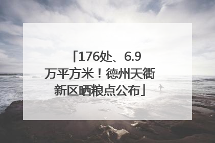 176处、6.9万平方米！德州天衢新区晒粮点公布