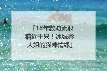 18年救助流浪猫近千只！冰城蔡大姐的猫咪情缘