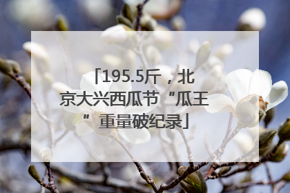 195.5斤，北京大兴西瓜节“瓜王”重量破纪录