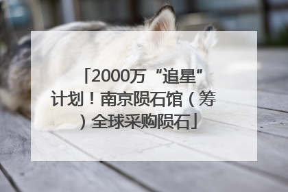 2000万“追星”计划！南京陨石馆（筹）全球采购陨石