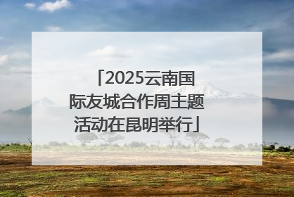2025云南国际友城合作周主题活动在昆明举行