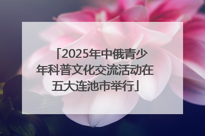2025年中俄青少年科普文化交流活动在五大连池市举行