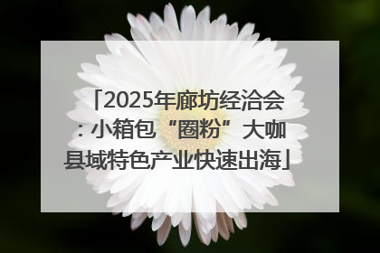 2025年廊坊经洽会：小箱包“圈粉”大咖 县域特色产业快速出海