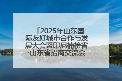2025年山东国际友好城市合作与发展大会暨印尼楠榜省·山东省招商交流会在济南槐荫举行