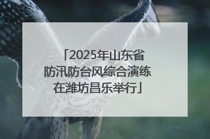 2025年山东省防汛防台风综合演练在潍坊昌乐举行