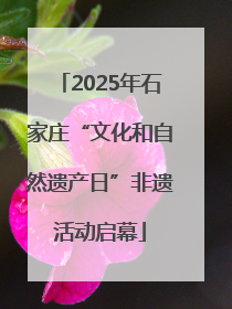 2025年石家庄“文化和自然遗产日”非遗活动启幕
