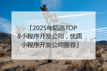 2025年精选TOP8小程序开发公司，优质小程序开发公司推荐