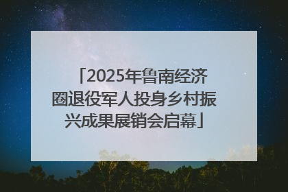 2025年鲁南经济圈退役军人投身乡村振兴成果展销会启幕