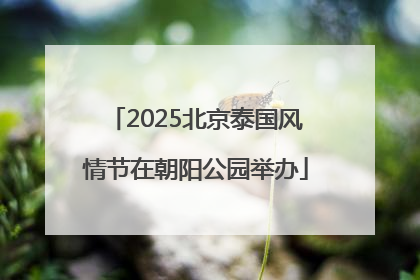 2025北京泰国风情节在朝阳公园举办